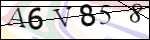 Human Confirmation Code (Captcha)