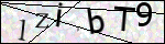 Human Confirmation Code (Captcha)
