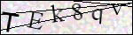 Human Confirmation Code (Captcha)