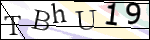 Human Confirmation Code (Captcha)