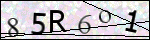 Human Confirmation Code (Captcha)