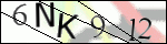 Human Confirmation Code (Captcha)