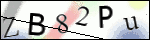 Human Confirmation Code (Captcha)