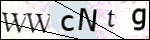 Human Confirmation Code (Captcha)