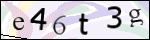 Human Confirmation Code (Captcha)