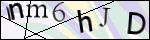 Human Confirmation Code (Captcha)