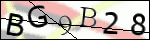 Human Confirmation Code (Captcha)