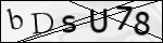 Human Confirmation Code (Captcha)