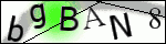 Human Confirmation Code (Captcha)