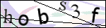 Human Confirmation Code (Captcha)