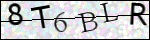 Human Confirmation Code (Captcha)