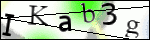 Human Confirmation Code (Captcha)
