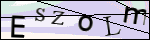 Human Confirmation Code (Captcha)