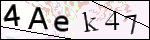 Human Confirmation Code (Captcha)