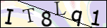 Human Confirmation Code (Captcha)