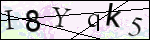 Human Confirmation Code (Captcha)