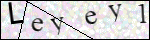 Human Confirmation Code (Captcha)