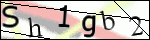 Human Confirmation Code (Captcha)