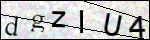 Human Confirmation Code (Captcha)