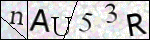 Human Confirmation Code (Captcha)