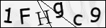 Human Confirmation Code (Captcha)