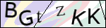 Human Confirmation Code (Captcha)