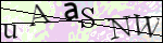 Human Confirmation Code (Captcha)