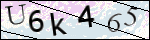 Human Confirmation Code (Captcha)