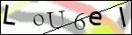 Human Confirmation Code (Captcha)