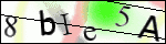 Human Confirmation Code (Captcha)