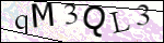 Human Confirmation Code (Captcha)