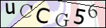 Human Confirmation Code (Captcha)