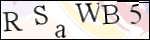 Human Confirmation Code (Captcha)