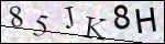 Human Confirmation Code (Captcha)