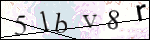 Human Confirmation Code (Captcha)