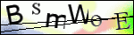 Human Confirmation Code (Captcha)