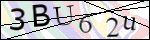 Human Confirmation Code (Captcha)