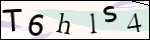 Human Confirmation Code (Captcha)