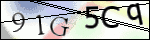 Human Confirmation Code (Captcha)