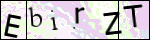 Human Confirmation Code (Captcha)