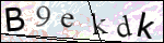 Human Confirmation Code (Captcha)
