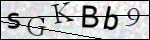 Human Confirmation Code (Captcha)