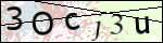 Human Confirmation Code (Captcha)