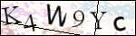 Human Confirmation Code (Captcha)