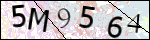 Human Confirmation Code (Captcha)