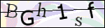 Human Confirmation Code (Captcha)