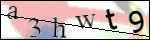 Human Confirmation Code (Captcha)