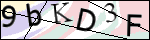 Human Confirmation Code (Captcha)