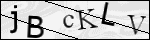 Human Confirmation Code (Captcha)