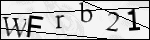 Human Confirmation Code (Captcha)